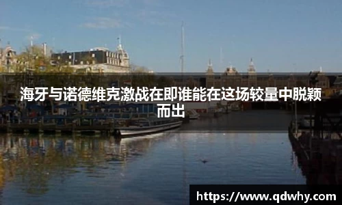 海牙与诺德维克激战在即谁能在这场较量中脱颖而出